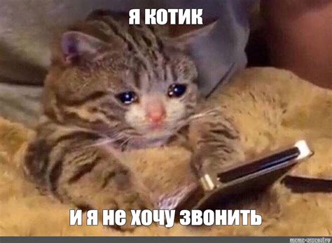 Meme: "я котик и я не хочу звонить" - All Templates - Meme-arsenal.com