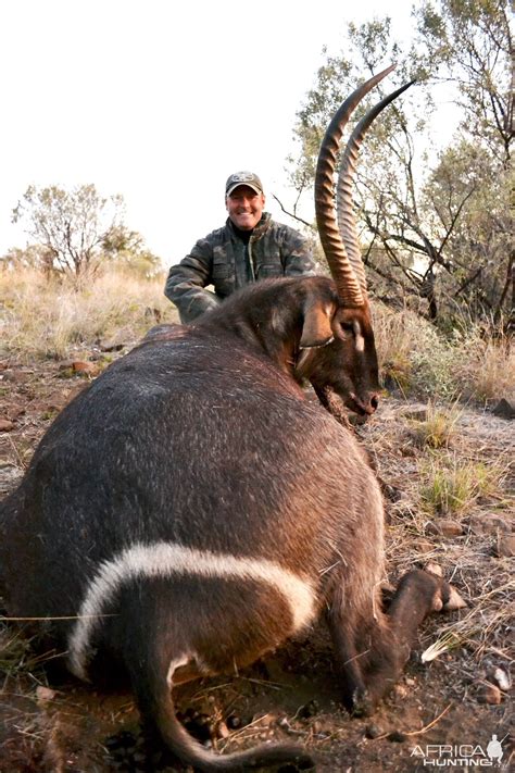 Hunting Waterbuck in Namibia | AfricaHunting.com