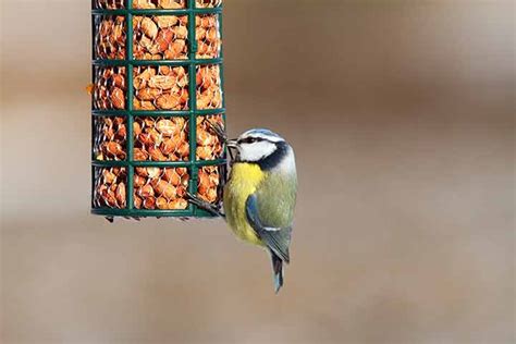 Stockists of RSPB Bird Food & Bird Feeders - Burston Garden Centre