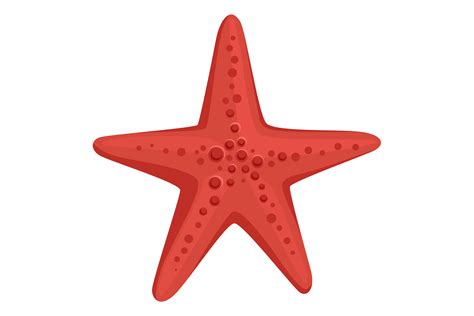 Red Starfish. Cartoon Ocean Beach Sand a Graphic by onyxproj · Creative ...