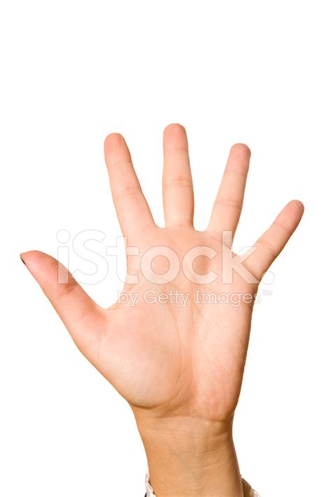 Human Hand Stock Photo – Royalty-Free Images | FreeImages