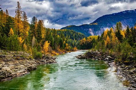 images landscape tree nature forest wilderness sky