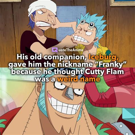 QuoteTheAnime - QTA | Pieces facts, One piece manga, One piece crew