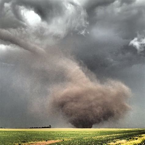 tornado dataset   kaggle