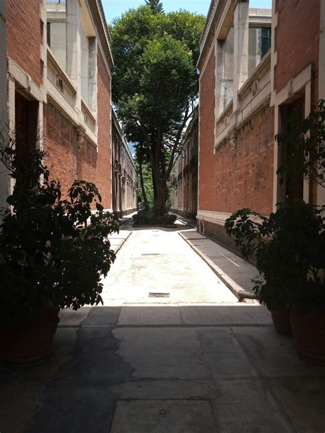 Topless+Girls+With+Tan+Lines Photos, Download The BEST Free Topless