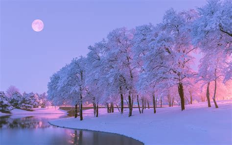 Pink Winter Aesthetic Wallpapers - Wallpaper Cave