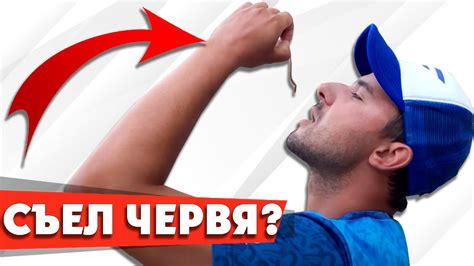 Ловля СУДАКА на спиннинг! Поролоновые приманки против силиконовых ...