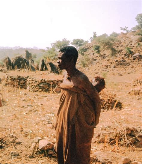 Seeds of Despair: How Conflict and Climate Change Fuel Hunger in