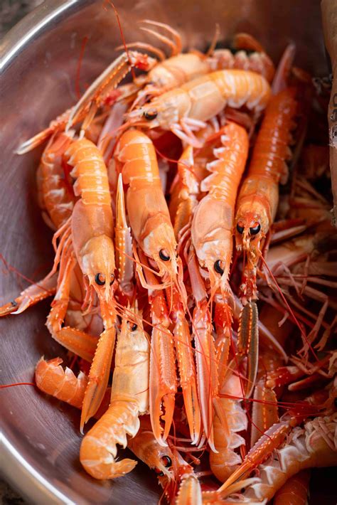 British seasonal shellfish platters