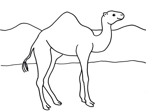 Camel Coloring Pages