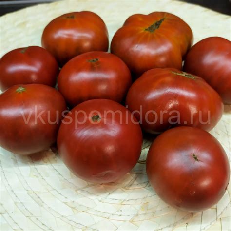 Купить семена томата сорт Гном Кардинал Мауры