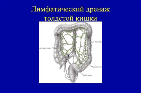 Рак толстого кишечника - презентация онлайн