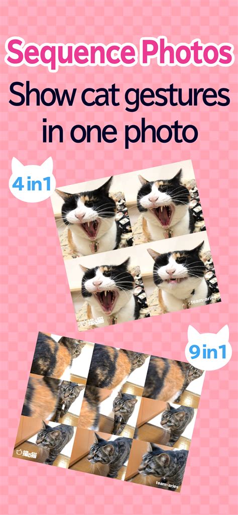 Take better cat pictures with toruneko (aka KittyCam).