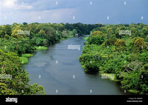 Amazonas State, Brazil. Tributary of the Rio Negro, one of the Stock ...