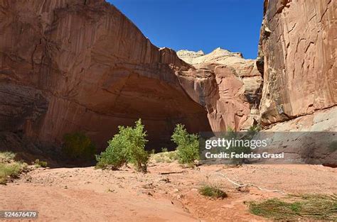 alcove nature trail   premium high res pictures getty images