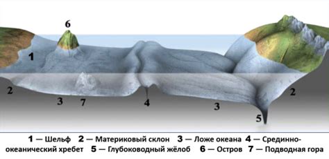 Ложе океанов — урок. География, 6 класс.