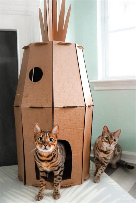 20 Creative Cat Castle Design Inspiration