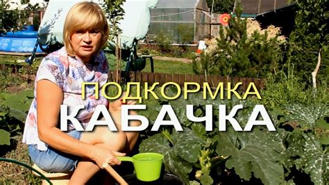 Подкормка КАБАЧКА во время ЦВЕТЕНИЯ и начала ПЛОДОНОШЕНИЯ! Советы от ...