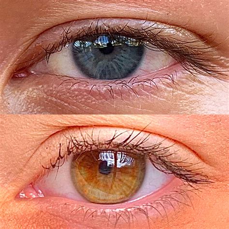 202 best Beautiful Blue Eyes images on Pholder | Aww, Eyes and Pics