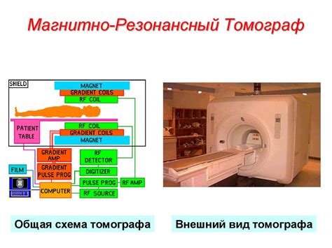 Ядерный магнитный резонанс - презентация онлайн