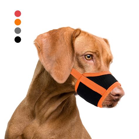 How Do You Train A Dog To Stop Biting