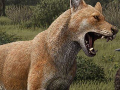 Extinct Dire Wolf | Dire Wolf Project