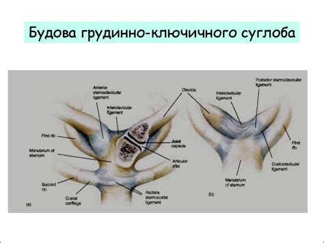 Вчення про з'єднання - презентация онлайн