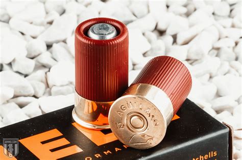 gauge   gauge shotgun shell comparison  experts ammocom