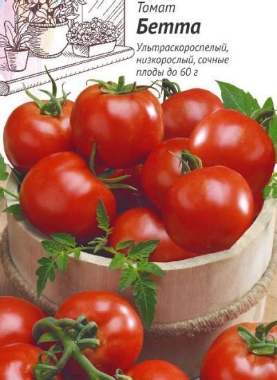 Томат Бетта: описание, характеристики, отзывы. Особенности посадки и ...