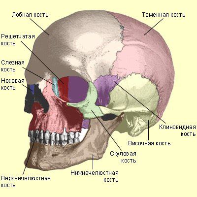 Перелом основания черепа