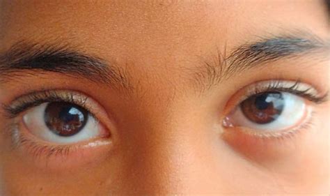 lilo pelekai | Reference photos for artists, Eye photography, Eye ...