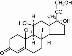 Cortisporin Ointment: Package Insert / Prescribing Info