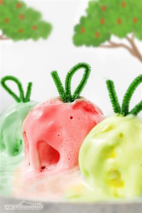 Apple Seed Science Fair Project