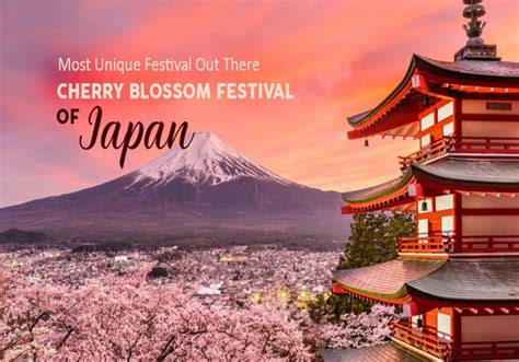 cherry blossom festival  japan  guide  hanami tradition