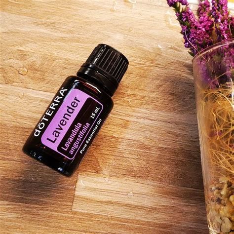 doTERRA Lavender 15ml | Lazada