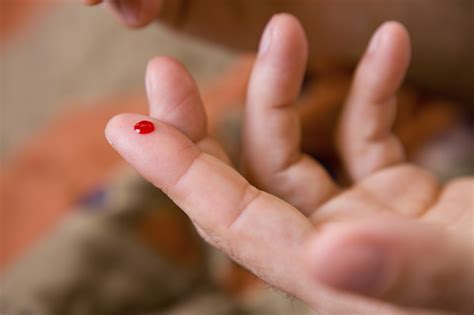 Do You Know the Amount of Blood in Human Body? | New Health Advisor