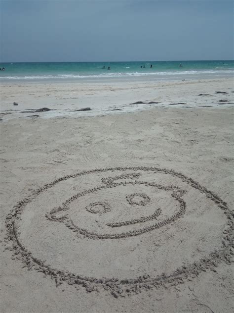 Paparazzi photographing celebrities on the beach. : r/pics