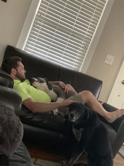 Pit bulls are dangerous he said.... : r/dadswhodidnotwantpets