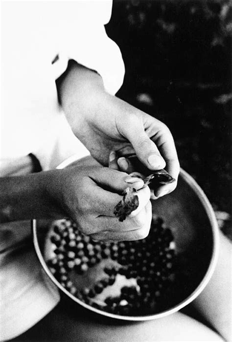shelling peas