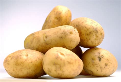Greenvale unveils its own food and potato trends report | News from AA ...