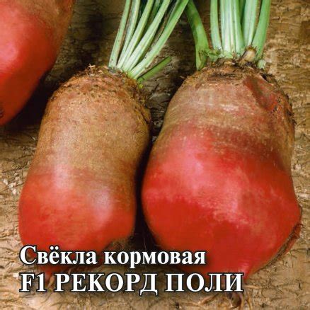Семена Свекла кормовая Рекорд Поли F1, 0,5кг, Гавриш, Фермерское ...
