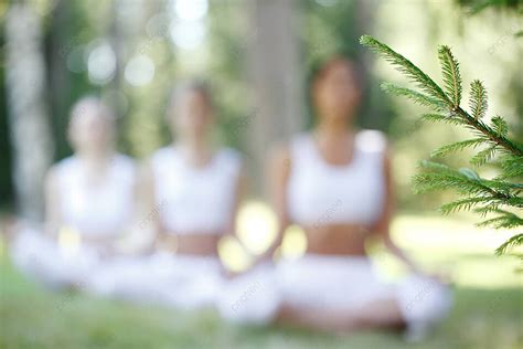 Yoga Training At Park Spiritual Serene Peaceful Photo Background And Picture For Free Download ...