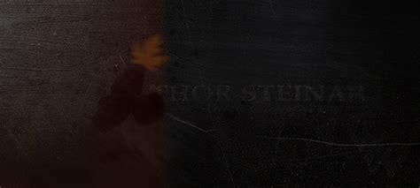 Thor Steinar :: Behance