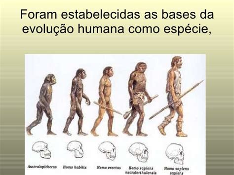 Teorias Da Evolução