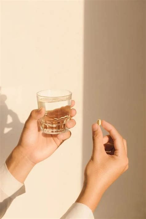 Probiotics Vs Prebiotics – SanctuaryEleven
