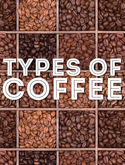 29 Types of Coffee Beans: A Comprehensive Guide