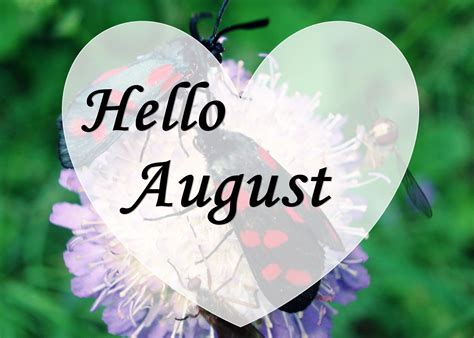 Hello August Pictures, Photos, and Images for Facebook, Tumblr