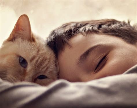 Ученые Канады доказали, что дети лучше спят в обнимку с питомцами ...