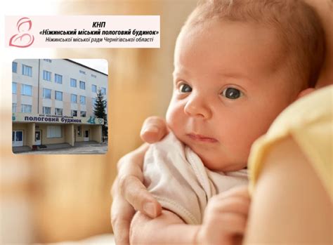 Яка народжуваність у Ніжині: підрахунки за 2021-2023 роки | Новини на ...