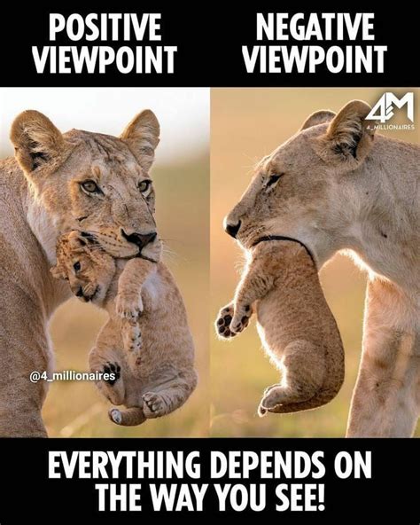 viewpoints rmisc